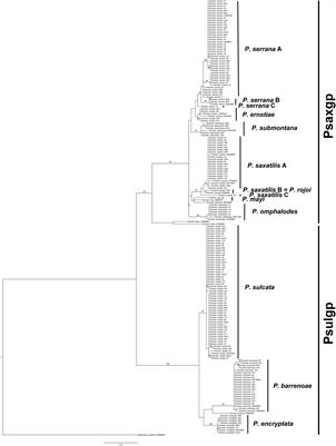 Biodiversity Patterns and Ecological Preferences of the Photobionts Associated With the Lichen-Forming Genus Parmelia